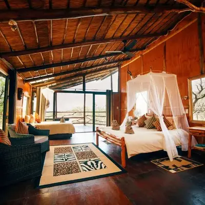 Pezulu Tree House Lodge