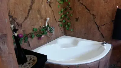 a bathroom with a white bath tub with green plants at Pride Rock Accommodation in Middelburg