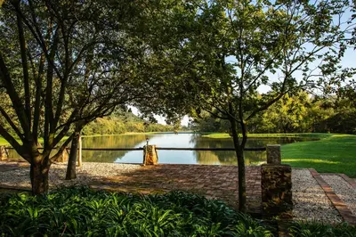 a view of a lake with trees in the foreground at Valley of the Rainbow Fly Fishing Estate in Dullstroom