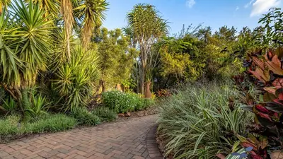 a brick path through a garden with palm trees at Paradise Creek Lodge in Malelane