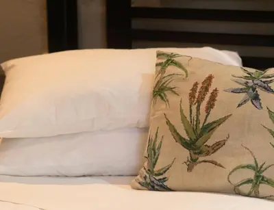 a pillow sitting on top of a bed next to two pillows at Paradise Creek Lodge in Malelane