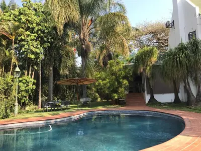 a swimming pool in front of a house with trees at Cuckoos Nest Guest House in Louis Trichardt