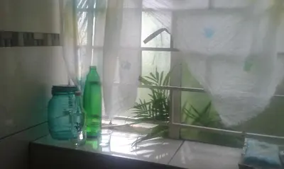 a window with a green bottle and a plant at 800@Merton in Pretoria