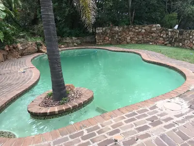 a small pool with a palm tree in it at Windmills Rest in Pretoria