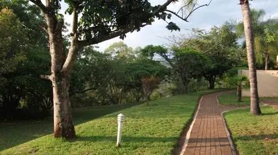 a brick path through a park with trees at Eagles Nest Chalets in Hazyview