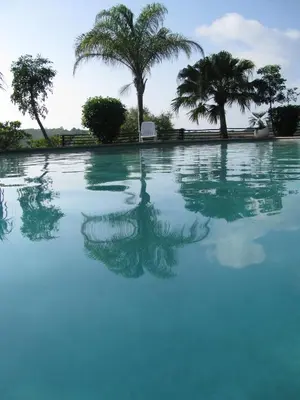 a pool of water with palm trees in the background at Eagles Nest Chalets in Hazyview