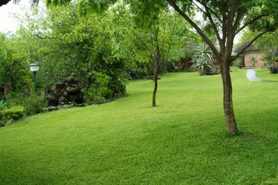 two trees in a yard with green grass at River Hill Lodge in Komatipoort