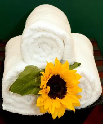 a sunflower sitting next to a towel with a sunflower at Kgarebana Boutique Guesthouse in Tweefontein