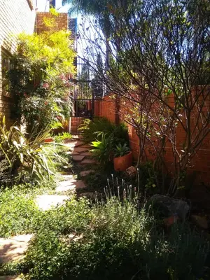 a garden with plants and a brick wall at Adorable Designs in Pretoria
