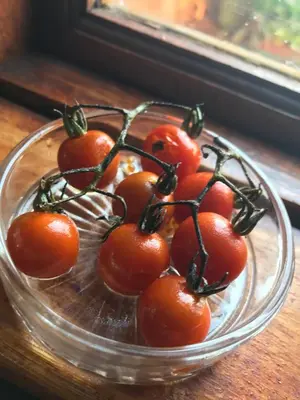 a glass bowl filled with tomatoes on a table at White Linen Guesthouse in Tierpoort