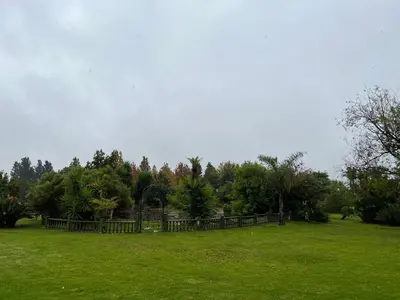 a field with a fence and green grass and trees at White Linen Guesthouse in Tierpoort