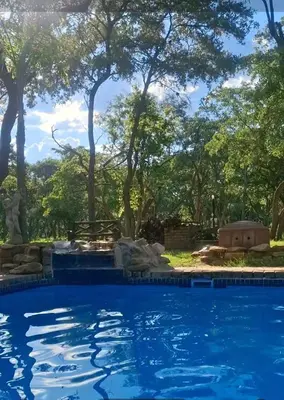 a swimming pool with trees in the background at Kigeni Safari Lodge & Spa in Vaalwater