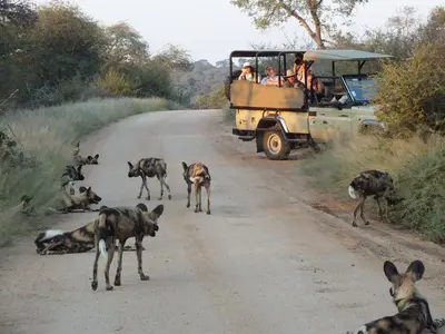 a group of people in a jeep on a road with animals at Rhino Post Safari Lodge in Skukuza