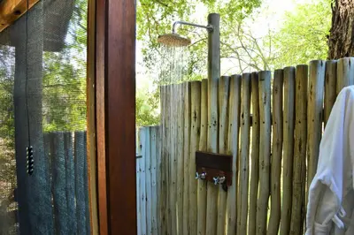 a wooden fence with a gate and a door with a spider at Rhino Post Safari Lodge in Skukuza