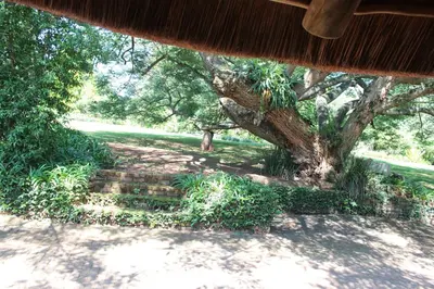 a tree with stairs in front of a park at Klipkopje Guest Cottage in White River