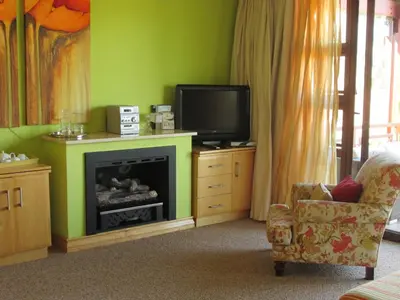 a living room with a tv and a fireplace at Schneiders Boutique Hotel in White River