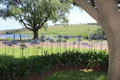 a garden with purple flowers in a park at Waterfront Guest House in Carolina