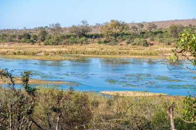 a river in the middle of a field at Foxy Crocodile Bush Lodge & Kruger Safaris in Marloth Park
