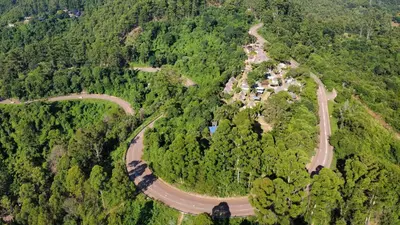 an aerial view of a winding road in the forest at Magoebaskloof Mountain Lodge in Magoebaskloof