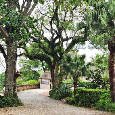 a walkway through a garden with trees and bushes at Magoebaskloof Mountain Lodge in Magoebaskloof