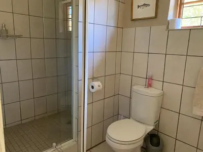 a bathroom with a toilet and a shower at Auldstone House in Dullstroom