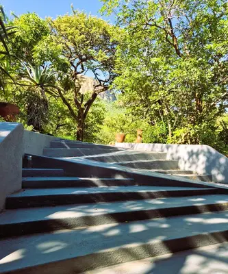 a set of stairs with trees in the background at Ukuthula Hideaway in Kampersrus AH