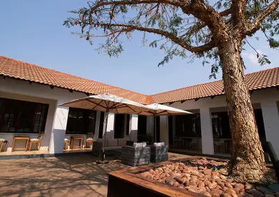 a patio with a tree and an umbrella at The Doors Inn in Mokopane