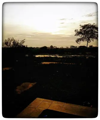 a sunset over a field with a tree in the background at Buster's River Lodge in Marloth Park