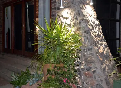 a plant in a pot next to a stone wall at Birrea Guest house in Polokwane