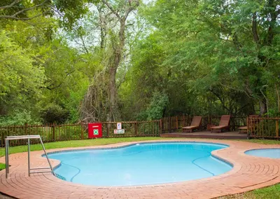 a swimming pool in a yard with a tree at Burchell's Bush Lodge by Dream Resorts in Sabi Sand Game Reserve