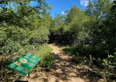 a dirt trail with a green sign in the woods at Burchell's Bush Lodge by Dream Resorts in Sabi Sand Game Reserve
