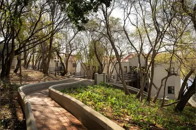 a brick path in a park with trees and buildings at Premier Hotel Roodevalley in Pretoria