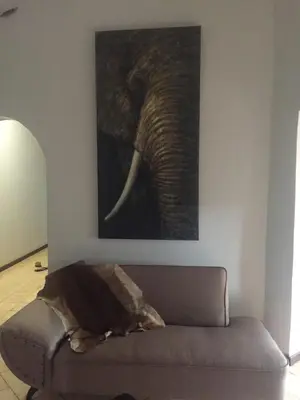 a painting of an elephant on a wall next to a couch at Baobab Lane Lodge in Marnitz