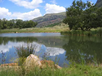 a lake with a tree and mountains in the background at Verlorenkloof in Dullstroom
