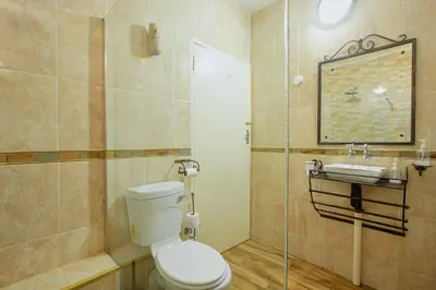 a bathroom with a toilet and a sink at All over Africa Guest house in Kempton Park