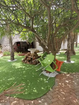 a green and orange chair sitting under a tree at The Shamrock Hotel in Polokwane