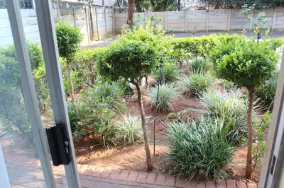 a garden with trees and plants outside a window at Purple Olive Guest House in Pretoria