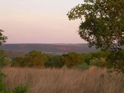 a view from the top of a hill with trees at Five Pebbles on Piece of Africa in Cullinan