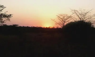 a sunset in a field with trees in the foreground at Five Pebbles on Piece of Africa in Cullinan