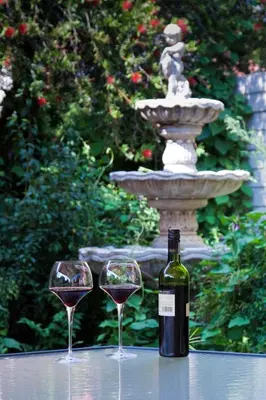 two glasses of wine sitting next to a fountain at Brooklyn Guesthouses in Pretoria