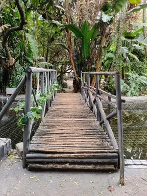 a wooden bridge over a body of water at Brooklyn Guesthouses in Pretoria