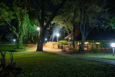 a park at night with trees and lights at Sunbird Lodge in Phalaborwa