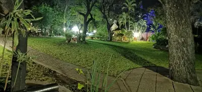 a park at night with trees and a path at Sunbird Lodge in Phalaborwa