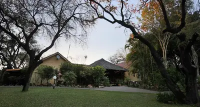 a house with trees in front of a yard at Sunbird Lodge in Phalaborwa