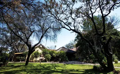 a house with trees in front of a yard at Sunbird Lodge in Phalaborwa