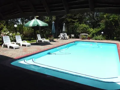 a large swimming pool with chairs and an umbrella at Sunbird Lodge in Phalaborwa