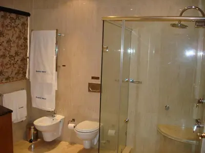 a bathroom with a shower and a toilet and a sink at Kosmos Manor Guest House in Hartbeespoort