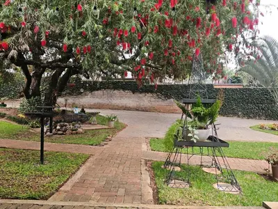 a garden with red flowers hanging from a tree at Apricity Inn in Louis Trichardt
