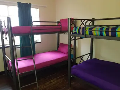 a room with two bunk beds with purple sheets at Travel Lodge Sabie in Sabie