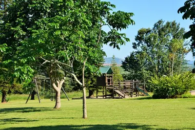 a park with a tree and a playground at Premier Hotel The Winkler in White River
